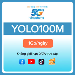 yolo100m